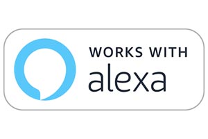 works with alexa