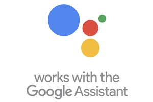 works with google assistant