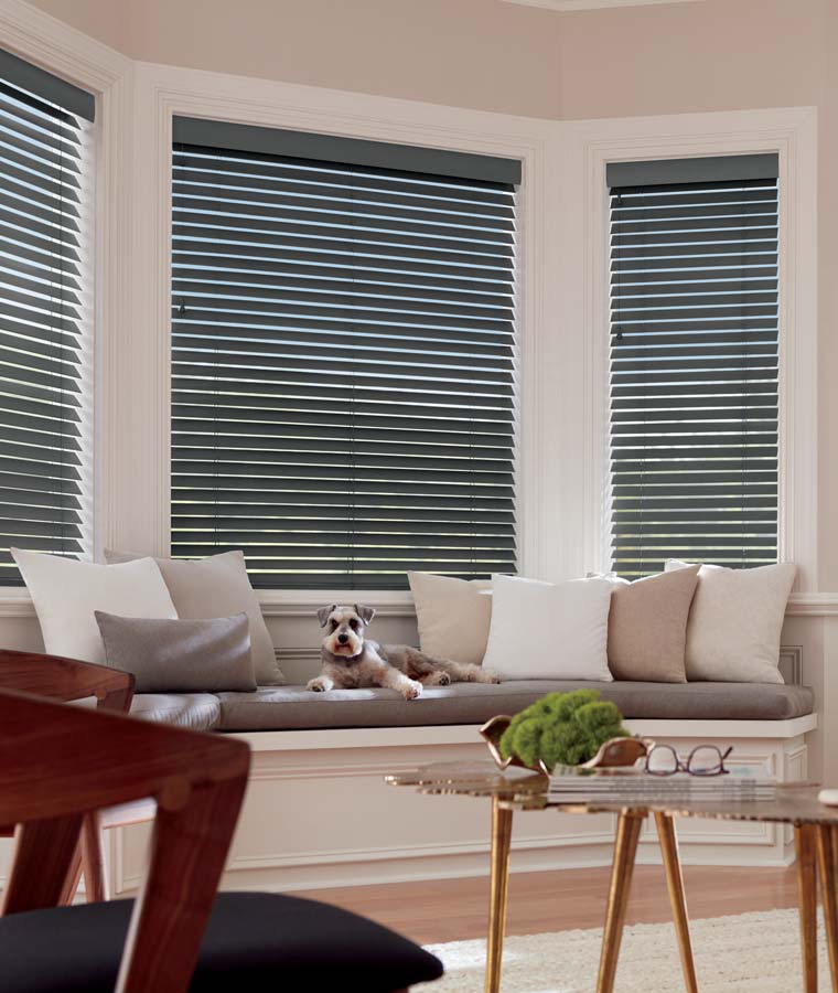 cozy living room with warm tones and wood blinds